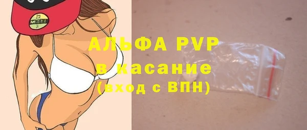 индика Бронницы